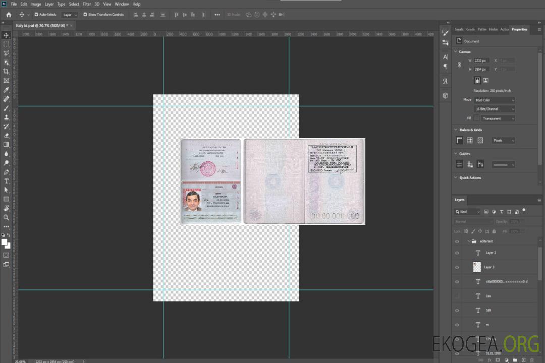 Passeport standard russe template